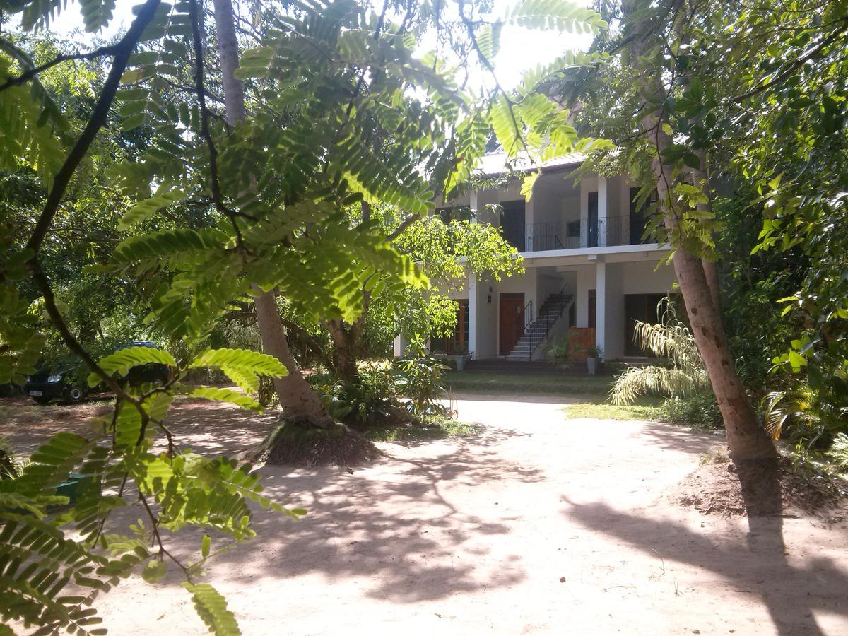 Green Earth Resort And Restaurant Дамбулла Екстер'єр фото